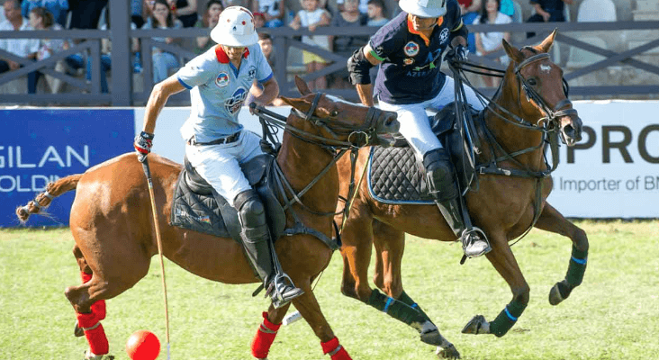 polo playing