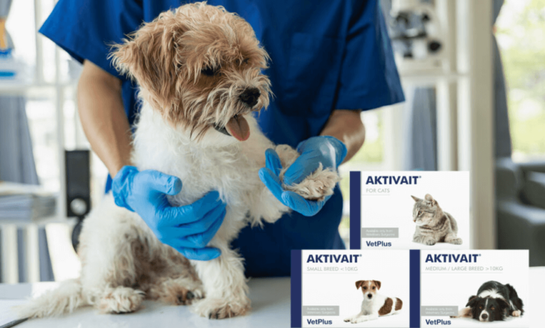 Dog Supplement Hong Kong: Enhancing Canine Wellness Naturally