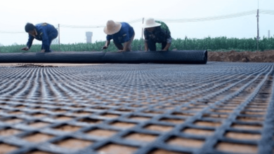 What Is a Geogrid? A Modern Solution for Ground Stabilization