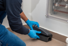 Restoring Peace of Mind: Professional Pest Control Services in Chelmsford
