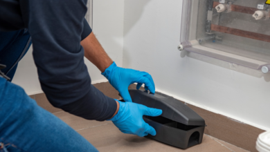 Restoring Peace of Mind: Professional Pest Control Services in Chelmsford