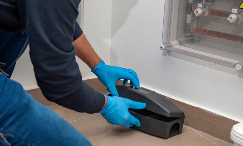 Restoring Peace of Mind: Professional Pest Control Services in Chelmsford