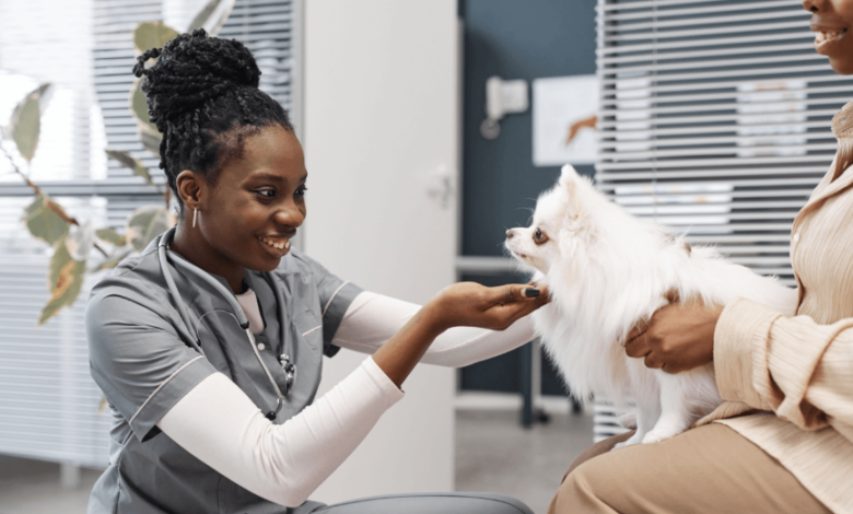 Holistic Healing for Pets: How TCM Is Transforming Dog Wellness