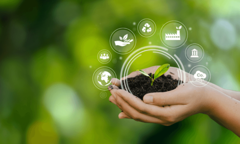 The Business of Sustainability: Turning Green Into Growth