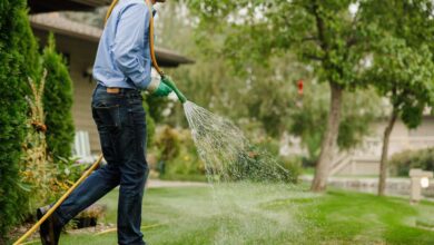 Maximizing Lawn Care with Proper Watering