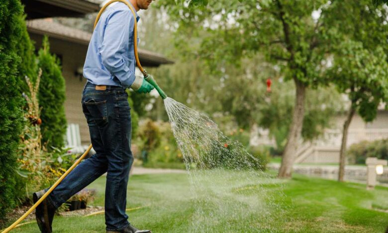 Maximizing Lawn Care with Proper Watering