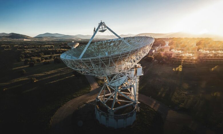 signal horizon executive operations