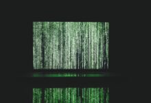 apex node revenue analysis