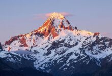 neural technology and innovation