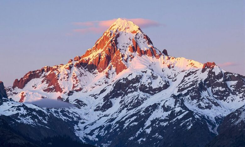 neural technology and innovation