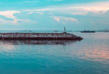 amplify online beacon horizon