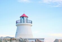 elevate branding pulse beacon