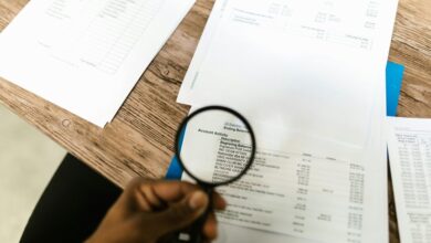 account data review identifiers and domains