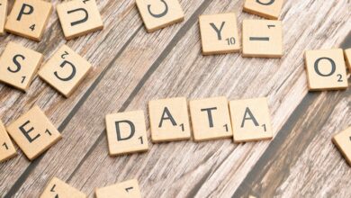 call and data integrity scan details