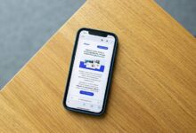 digital record inspection contact details provided