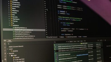 model and code validation identifiers listed