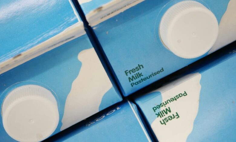 technical keyword cluster arquidimatismo wamjankoviz 30 6df496 j261x5 in milk