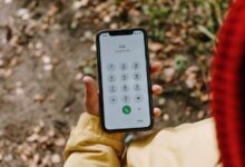 caller ids listed for verification process