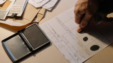 latest phone search records and identity checks