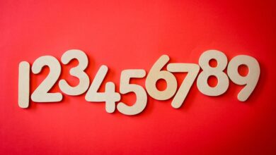 list of phone numbers for lookup