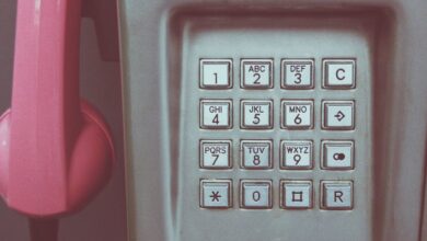 phone numbers of owner lookup